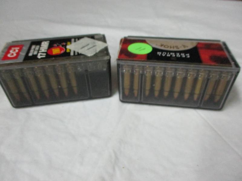 lot 11 image: 81  Rounds 17 Hmr  CC1 and Federal
