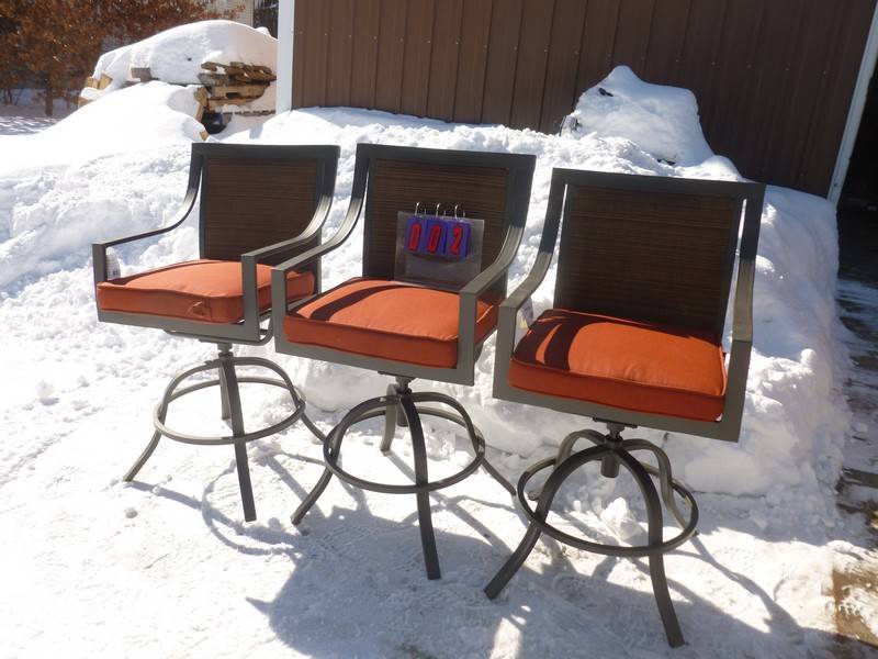 SnS Auctions # 361 Waiting for spring