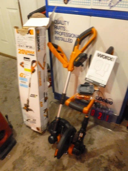 SnS Auctions # 361 Waiting for spring