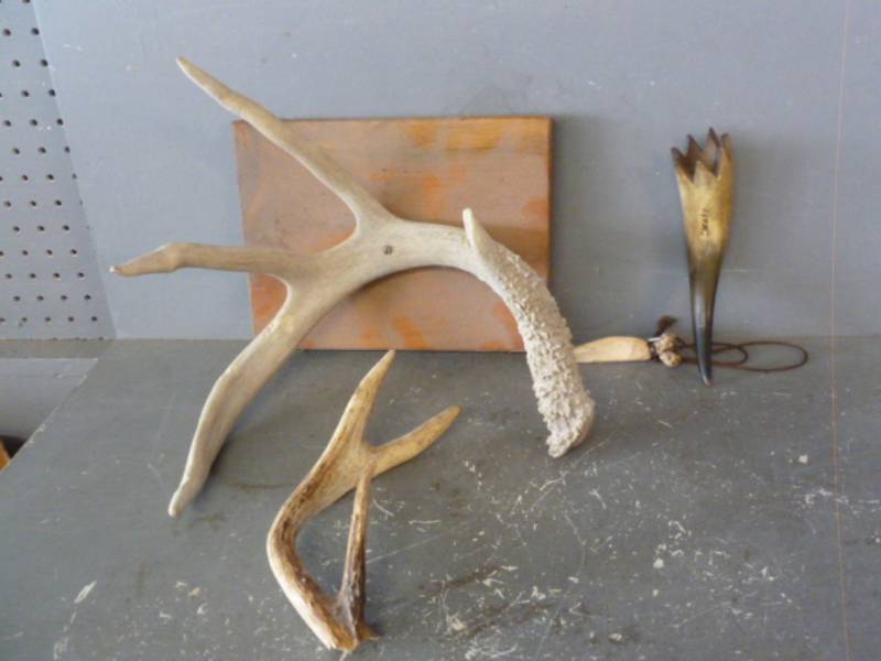lot 155 image: Antler Shed