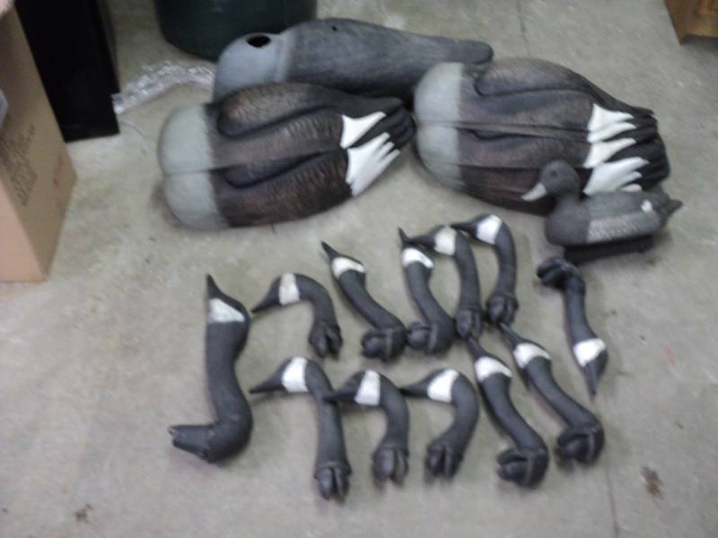 lot 136 image: 12 Shell Goose Decoys...
