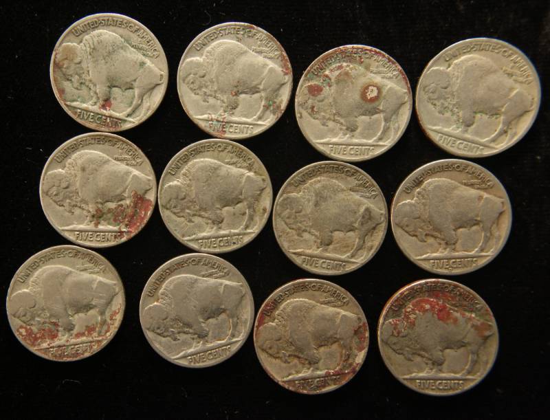 lot 52 image: 12 BUFFALO NICKELS AS PICTURED