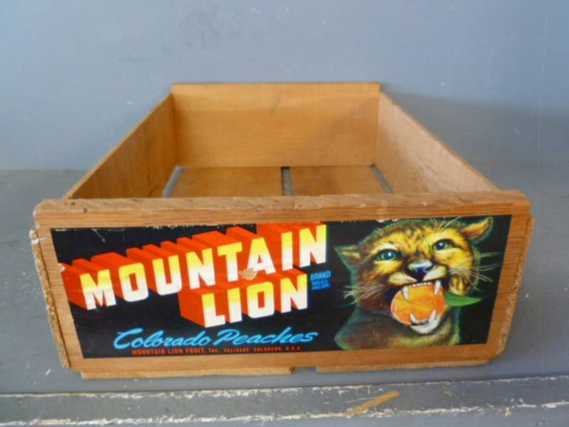 lot 47 image: Vintage Wooden Case