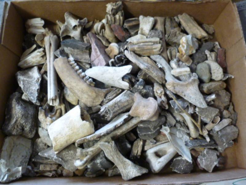 lot 75 image: Native American Items