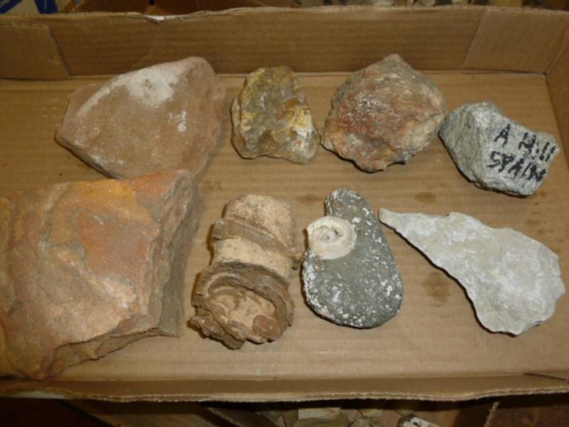 lot 117 image: Collector Rocks