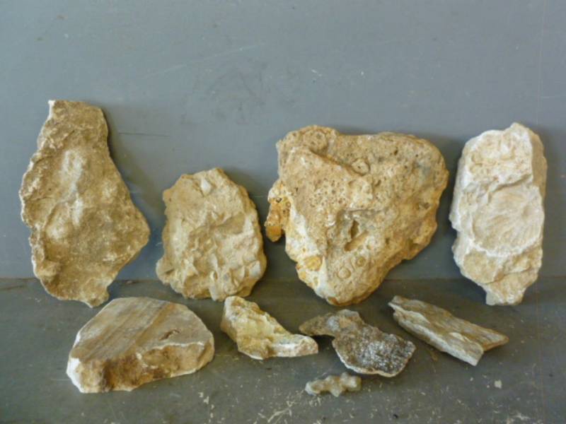 lot 185 image: Fossil Rocks