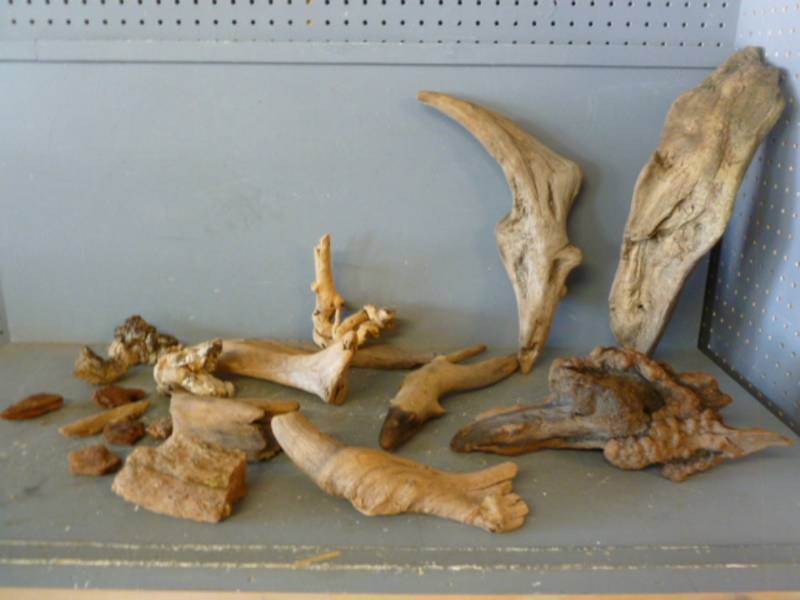 lot 219 image: Driftwood
