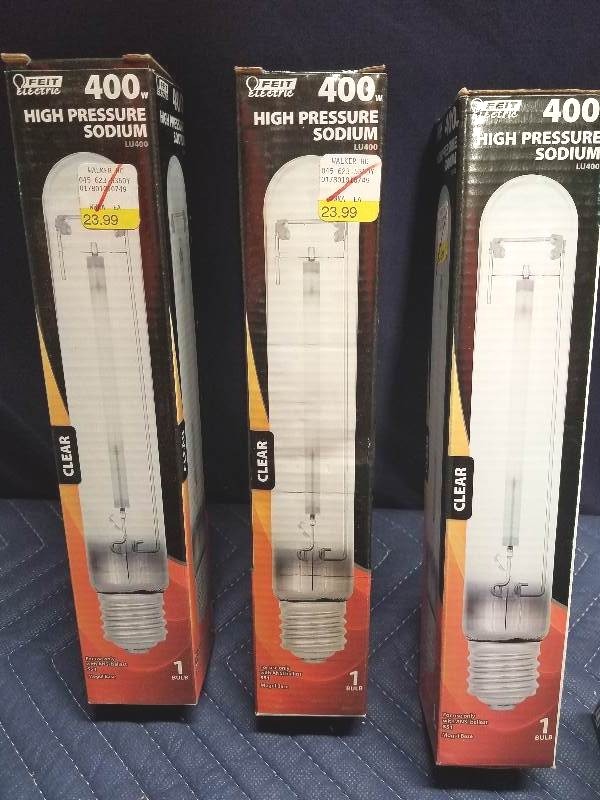 400W Light Bulbs