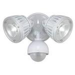 Home Zone Security Motion Light