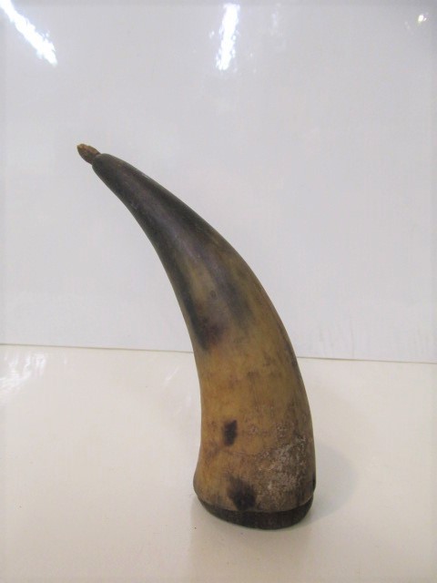 lot 174 image: Vintage Powder Horn - 8 tall