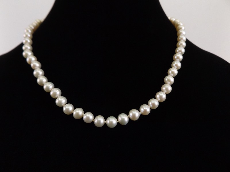 lot 110 image: Freshwater Pearl Necklace with 10k Clasp
