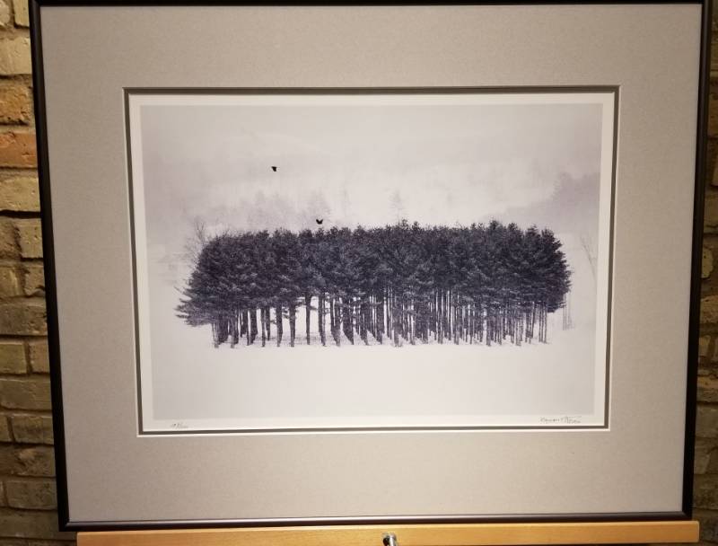 lot 9 image: Crows Above the Tree Stand by Kuzman Olt