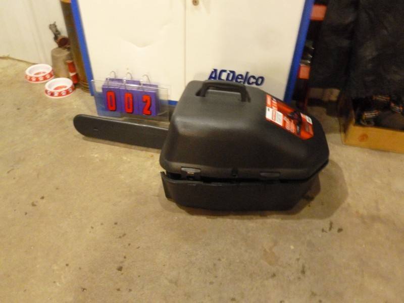 lot 2 image: SnS Auctions # 362 WAITING FOR MORE SNOW