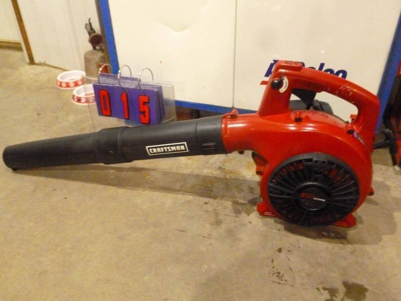 lot 15 image: SnS Auctions # 362 WAITING FOR MORE SNOW