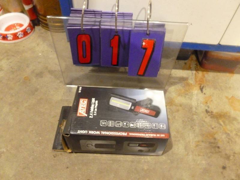 lot 17 image: SnS Auctions # 362 WAITING FOR MORE SNOW