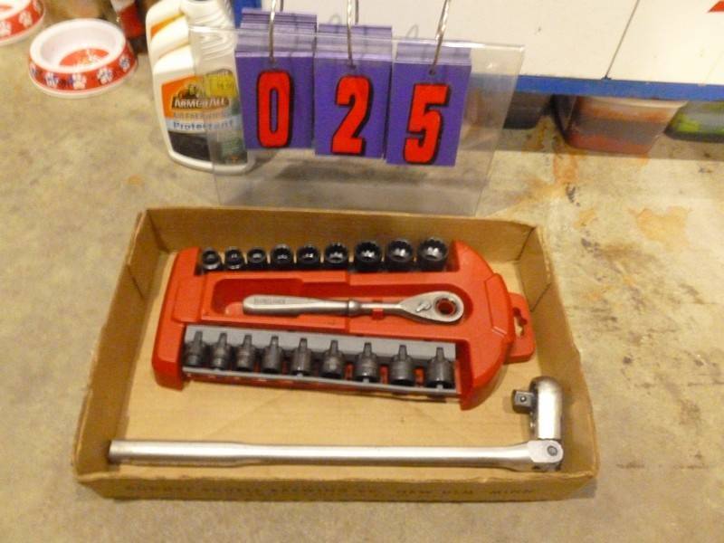lot 25 image: SnS Auctions # 362 WAITING FOR MORE SNOW