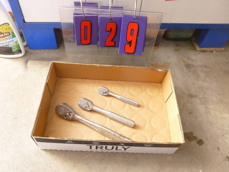 lot 29 image: SnS Auctions # 362 WAITING FOR MORE SNOW