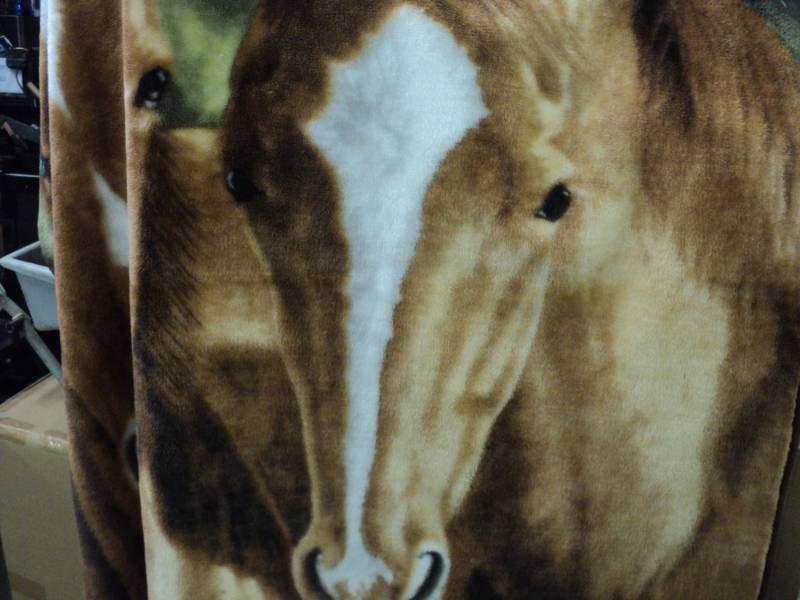lot 224 image: Horse Throw and Comforter 33 x 84...