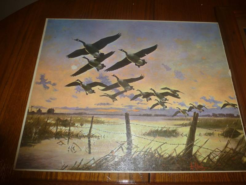 lot 74 image: Print# 20 GoosePheasant Scenes