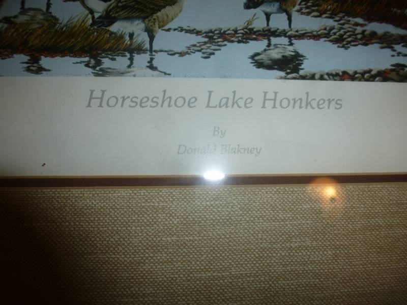 lot 74A image: Print# 21 Horseshoe Lake Honkers