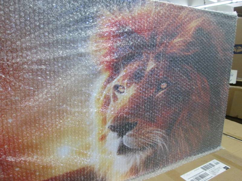 lot 3 image: Lion Eyes Canvas open box Retail $4...