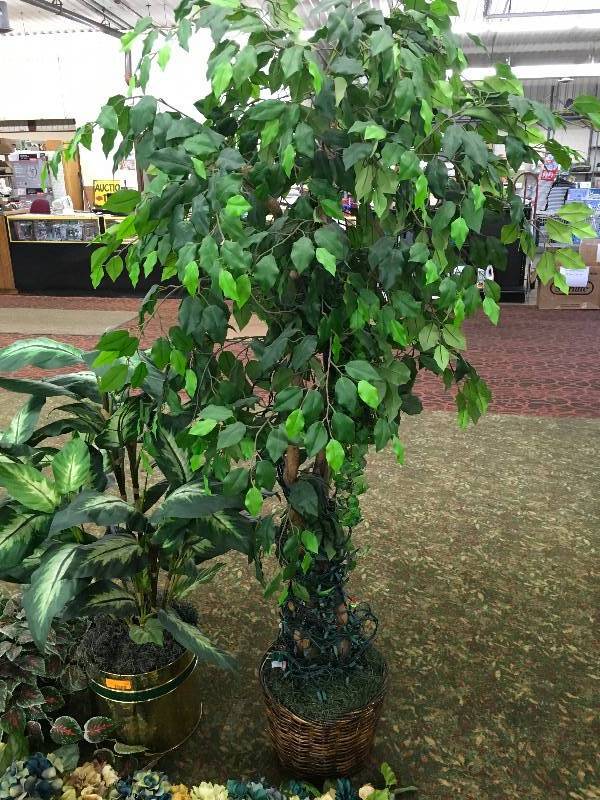 lot 56 image: Artificial Plants