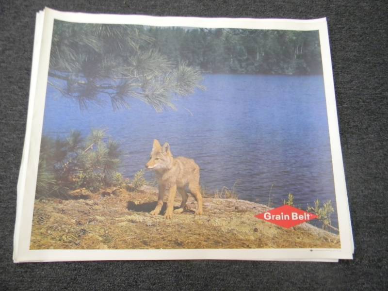 lot 24 image: RARE - VINTAGE GRAIN BELT BEER MPLS. BREWING CO. ADVERTISING PRINT - RARE - APPROX 33 BY 27 ON CANVAS TYPE PAPER - SEE PICTURES