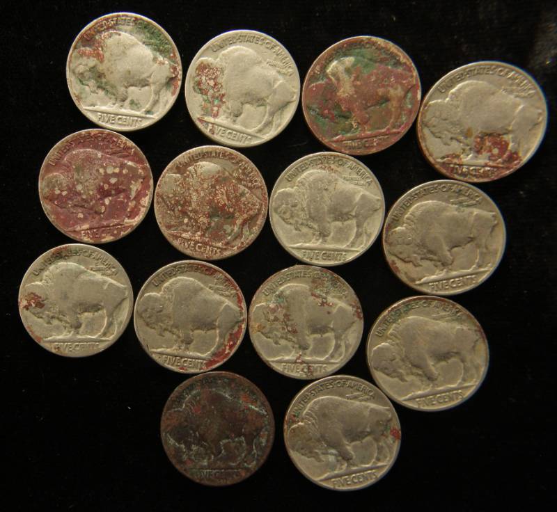 lot 49 image: GROUP OF 14 US BUFFALO NICKELS