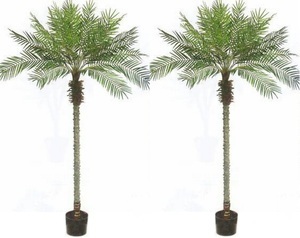 lot 97 image: Lot of 2 Artificial 7 Palm Trees