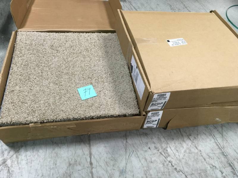 Thrive Good Earth 24 in. x 24 in. Residential Carpet Tile (10 Tiles  Case) 3 CASES not used