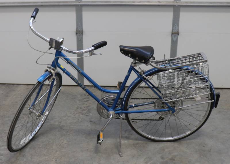 lot 21 image: Schwinn Suburban Bicycle