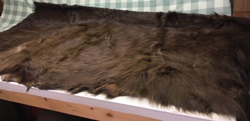 lot 21 image: Horse Hide Rug