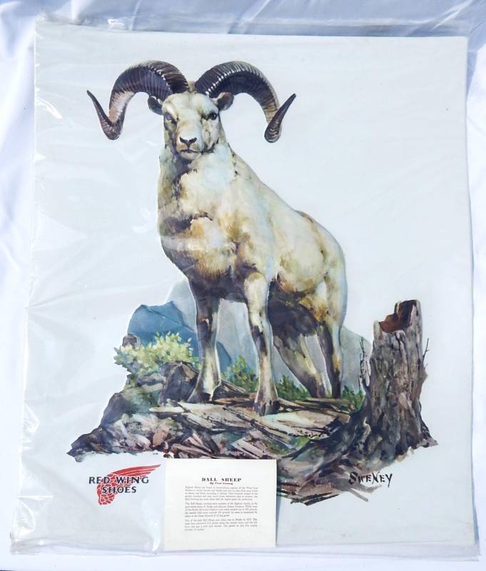 lot 30 image: Large Vintage 1970s Fred Sweney Big Horn Sheep Red Wing Shoes Vacuum Form Print Set