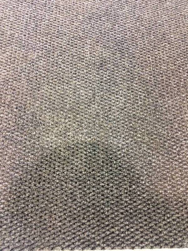 Long Entry rug35.5X30 feet