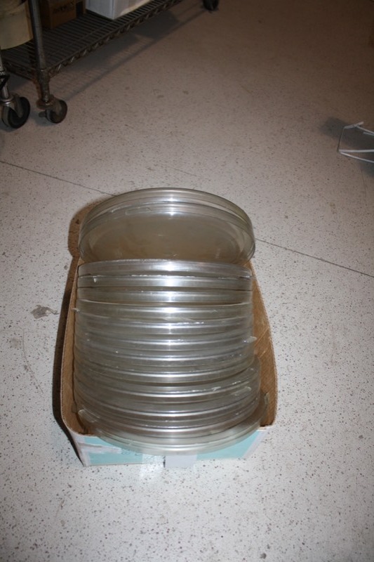Platic Lids