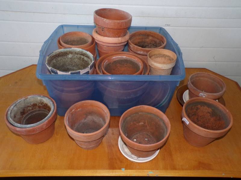 lot 29 image: Large Lot of Clay Flower Pots