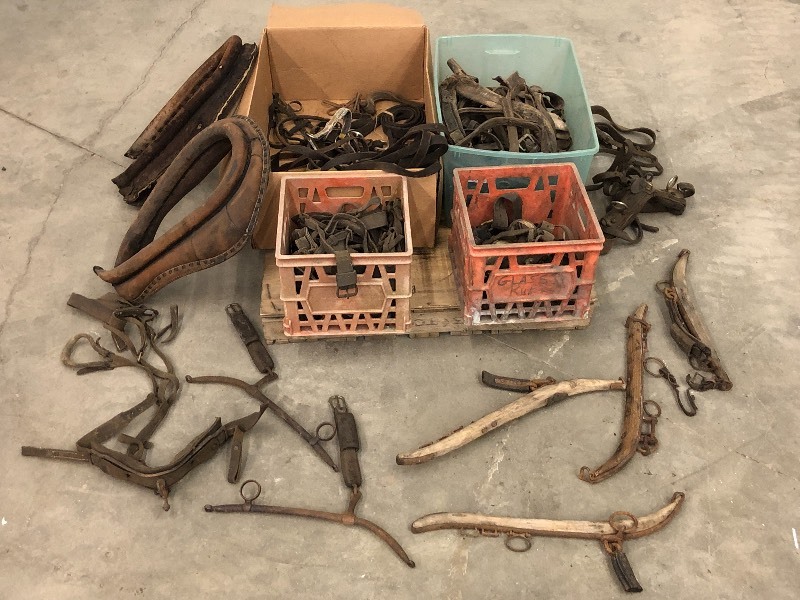 lot 63 image: (4) Boxes Of Antique Equestrian Supplies