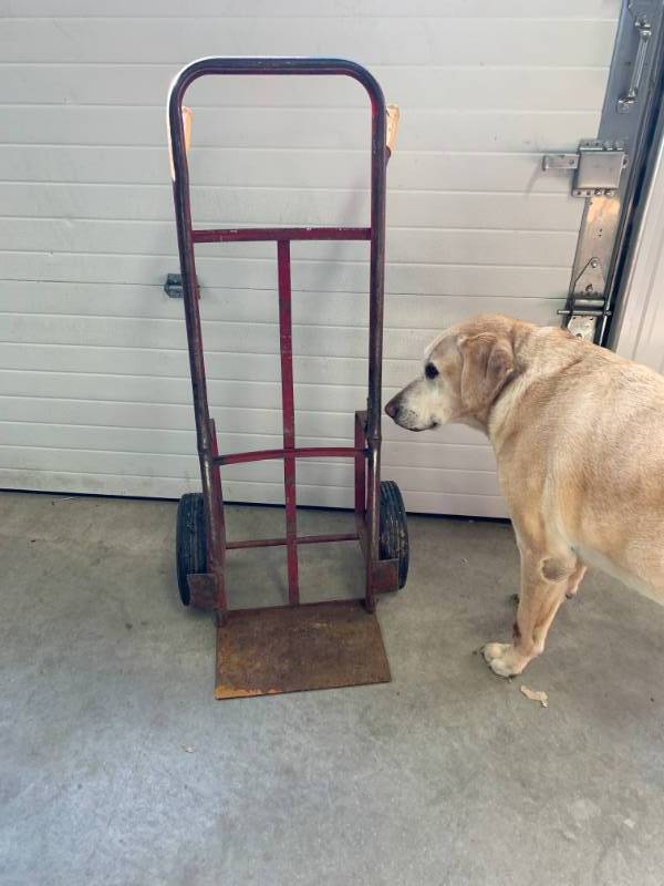 lot 44 image: 2 Wheel Hand Truck