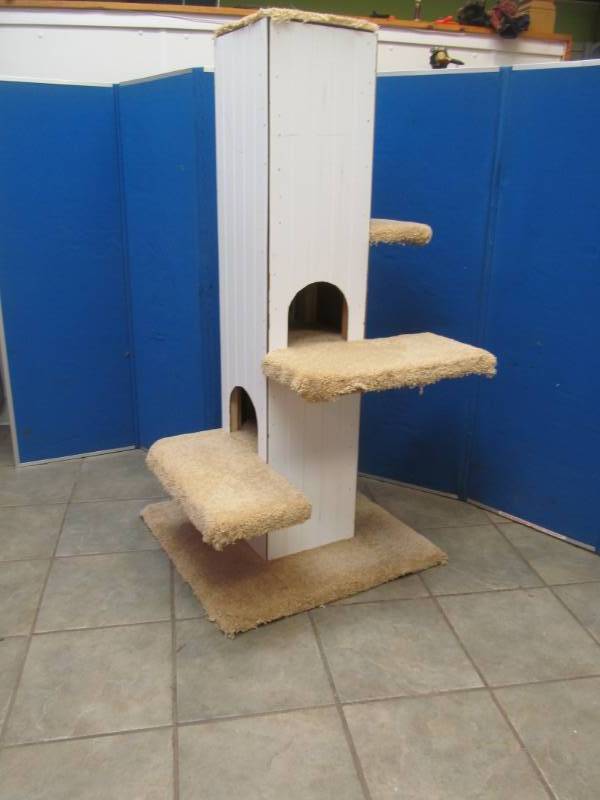 cat tree
