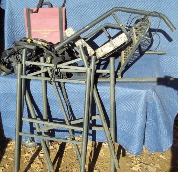 lot 431 image: Tree Stand