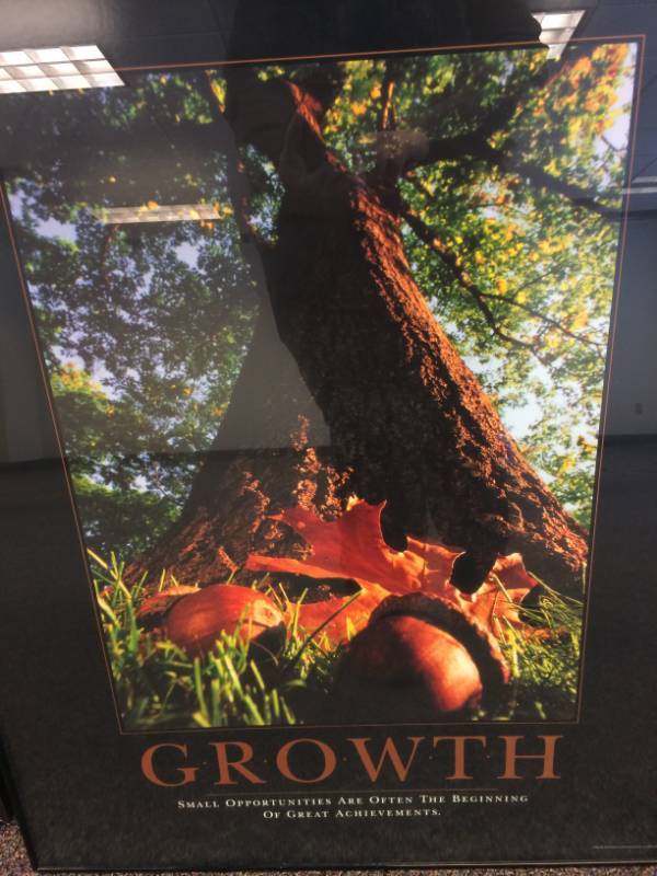 lot 17 image: Successories Custom Framed Inspirations Posters - Excellent Condition