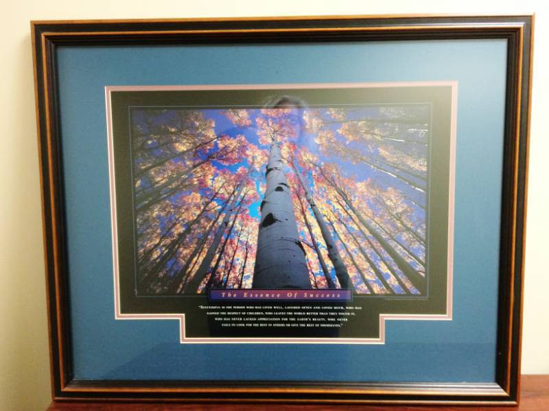 lot 7 image: Successories Custom Framed Inspirations Posters - Excellent Condition