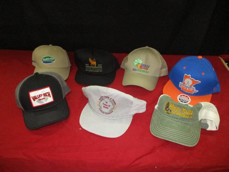 lot 138 image: CAPS Clean