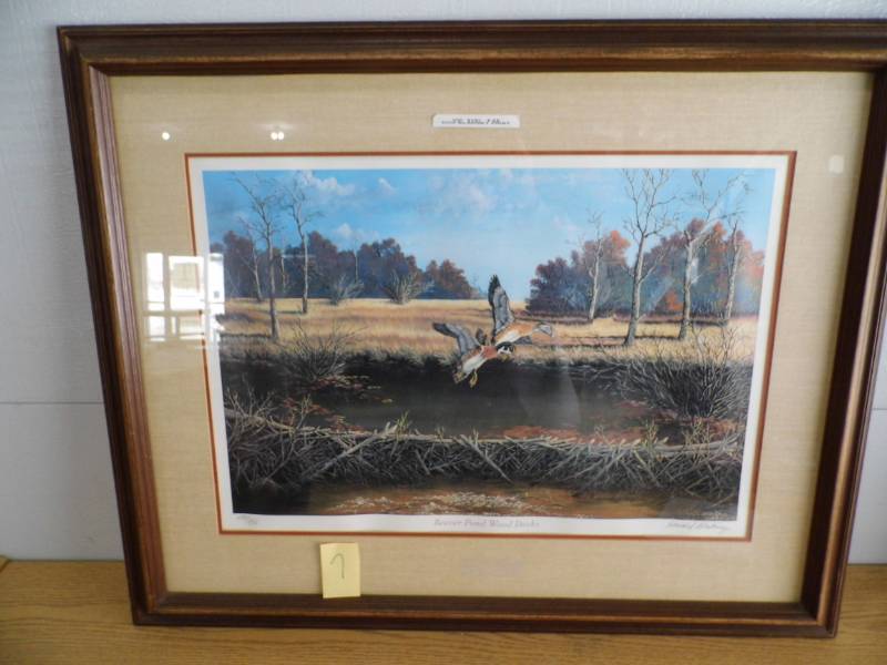 lot 7 image: Beaver Pond Wood Ducks