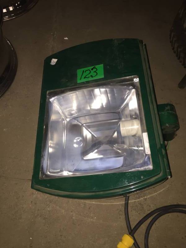 lot 123 image: GE Outdoor Light Quartz Lamp
