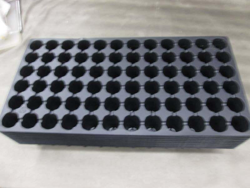 lot 197 image: Case of 100- 72 Place Plant Starter...