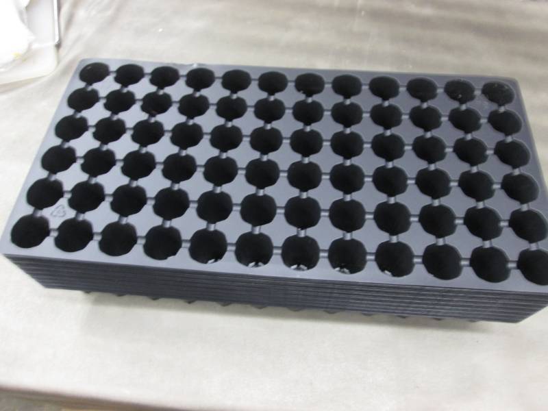 lot 199 image: Case of 100- 72 Place Plant Starter...