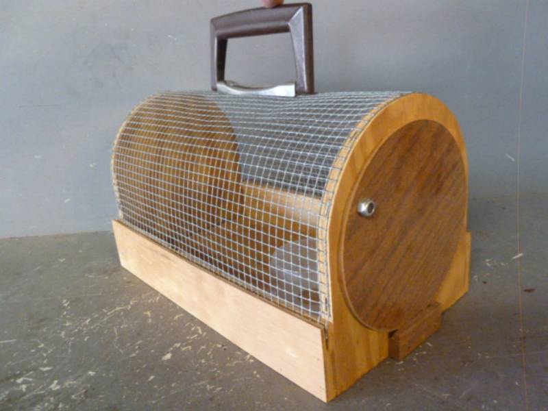 Bird Cage