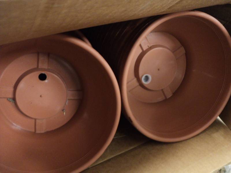 lot 96 image: Case of 60 Pots- 10 Diameter...