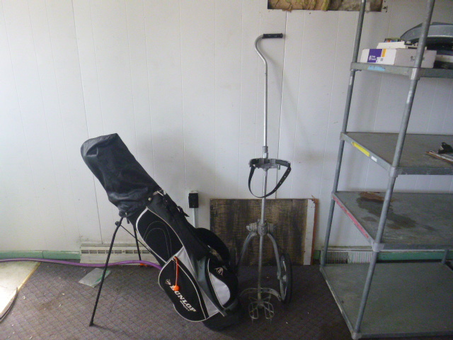 lot 37 image: Dunlap Golf Bag with Clubs